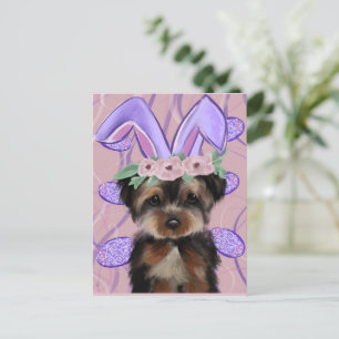 Postal Yorkie Poo