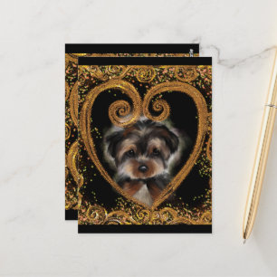 Postal Yorkie Poo