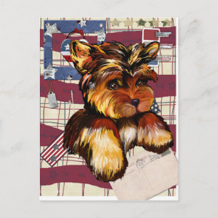 POSTAL YORKIE POO