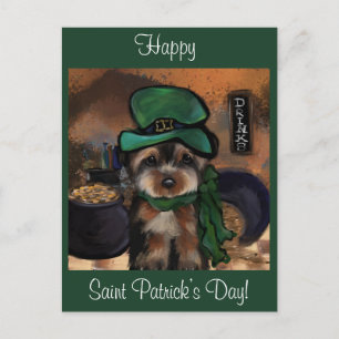 Postal Yorkie Poo