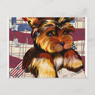 POSTAL YORKIE POO