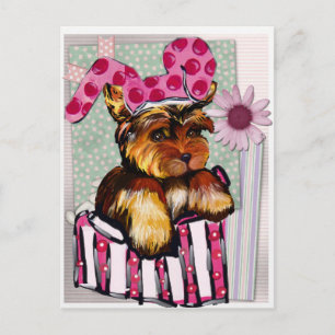POSTAL YORKIE POO
