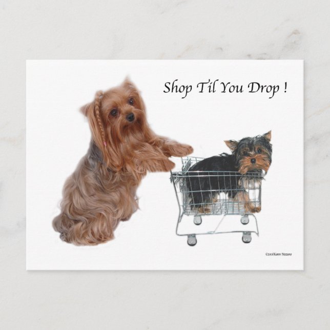 Postal Yorkie Shop Til You Drop (Anverso)