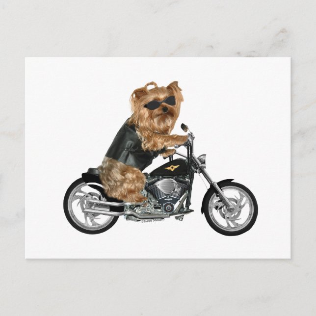 Postal Yorkie Yorkshire Terrier Biker (Anverso)