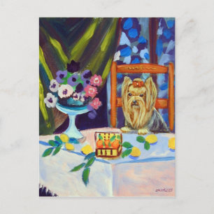 Postal Yorkshire Terrier