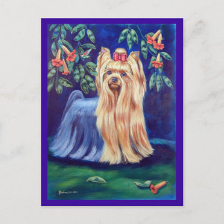 Postal Yorkshire Terrier
