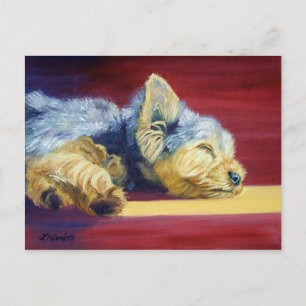 Postal Yorkshire Terrier