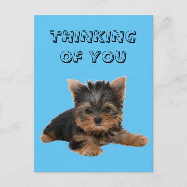 POSTAL YORKSHIRE TERRIER (Anverso)