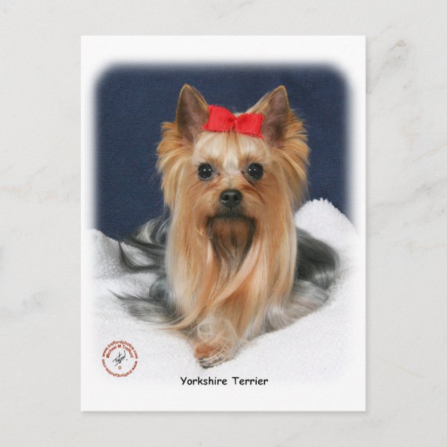 Postal Yorkshire Terrier 9Y110D-019 (Anverso)