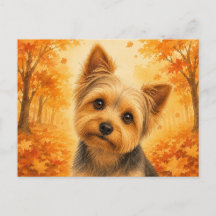 Yorkshire Terrier Bosque de Otoño Perro