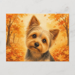 Postal Yorkshire Terrier Bosque de Otoño Perro