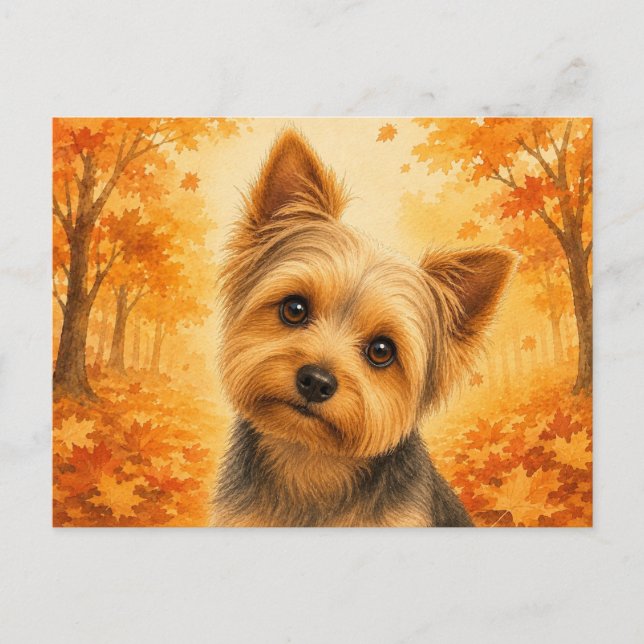Postal Yorkshire Terrier Bosque de Otoño Perro (Anverso)