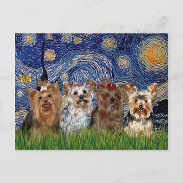 Postal Yorkshire Terrier Cuádruple - Noche estrellada (Anverso)