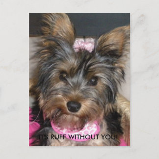 Postal Yorkshire Terrier, ¡ES RUFF SIN TI!