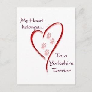 Postal Yorkshire Terrier Heart Pertenece