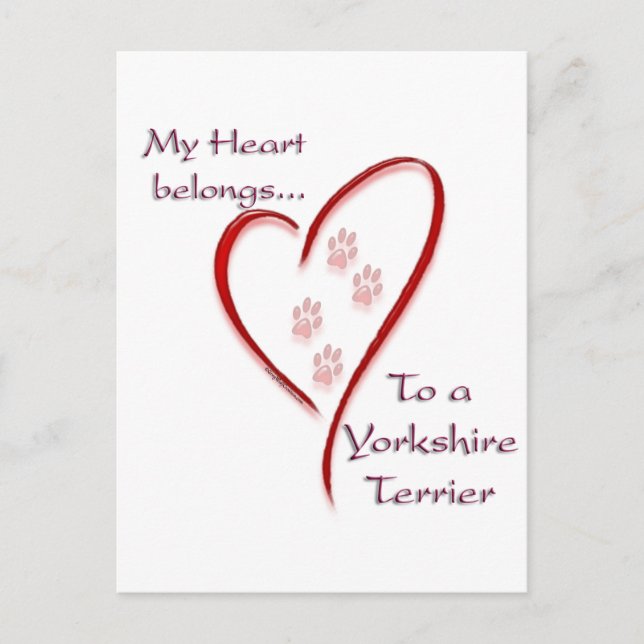 Postal Yorkshire Terrier Heart Pertenece (Anverso)