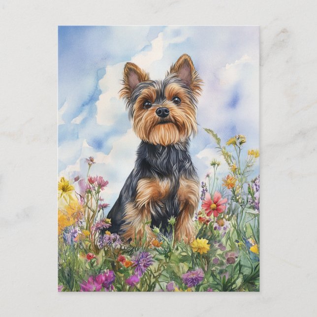 Postal Yorkshire Terrier - Postcard (Anverso)