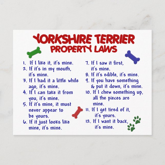 Postal YORKSHIRE TERRIER Property Laws 2 Yorkie (Anverso)