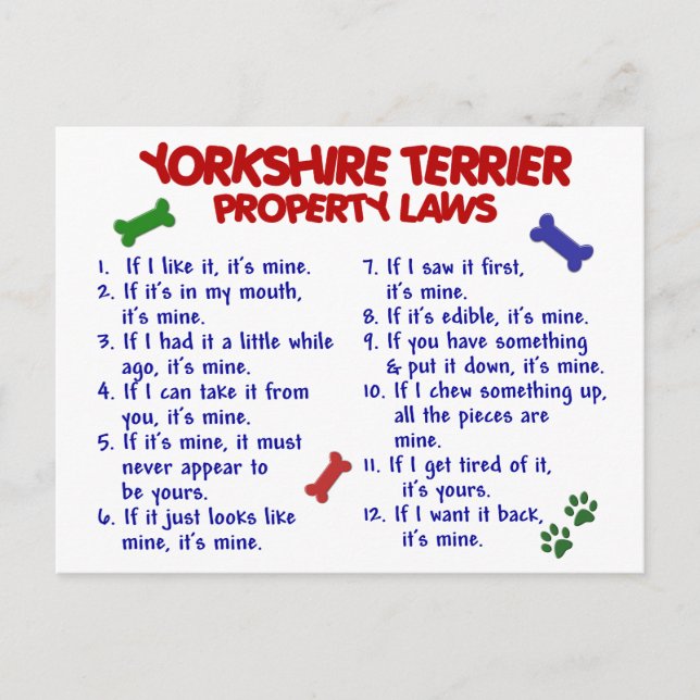 Postal YORKSHIRE TERRIER Property Laws 2 Yorkie (Anverso)
