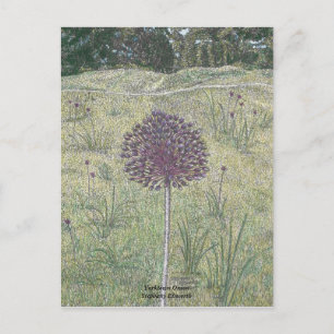 Postal Yorktown Onion