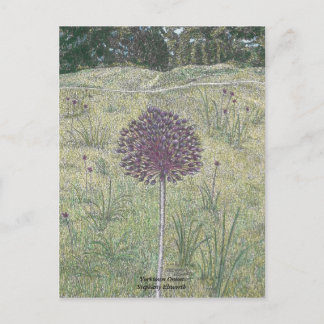Postal Yorktown Onion