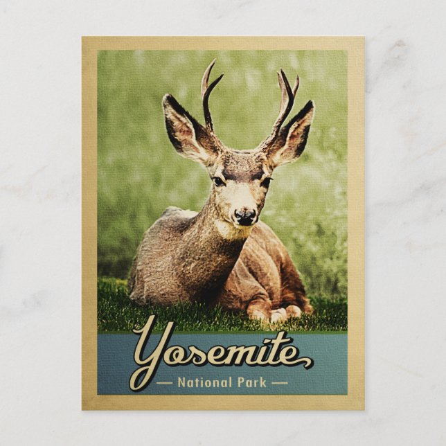 Postal Yosemite Parque Nacional Deer Vintage Travel (Anverso)