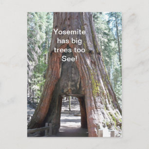 Postal Yosemite tiene árboles grandes que postular
