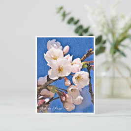 Postal Yoshino Cherry