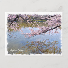 Postal Yoshino Cherry ポストカード