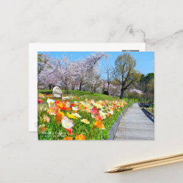 Postal Yoshino Cherry & Iceland Poppy