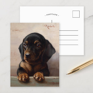 Postal Young Dachshund   Carl Reichert