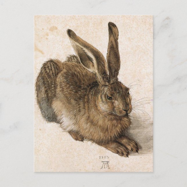 Postal 'Young Hare' (Anverso)