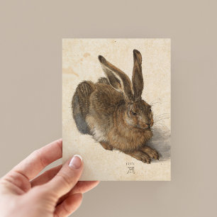Postal Young Hare   Albrecht Dürer