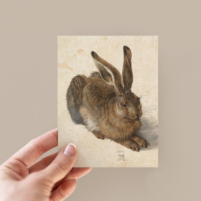 Postal Young Hare | Albrecht Dürer (Subido por el creador)