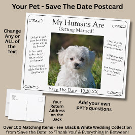 Postal Your Pet Photo Save The Date Black White Infinity