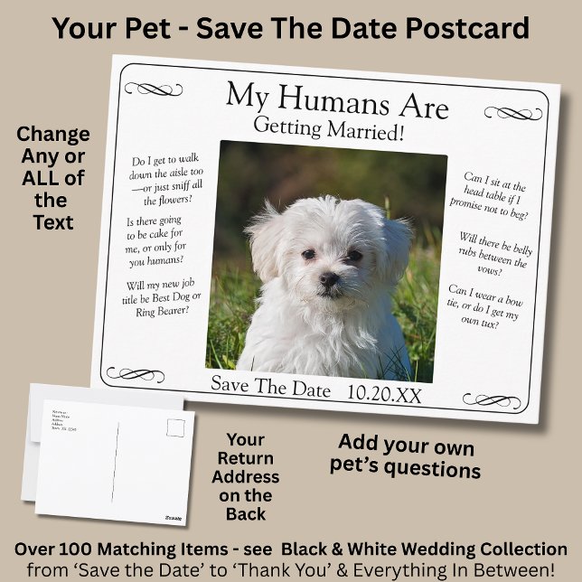 Postal Your Pet Photo Save The Date Black White Infinity (Subido por el creador)