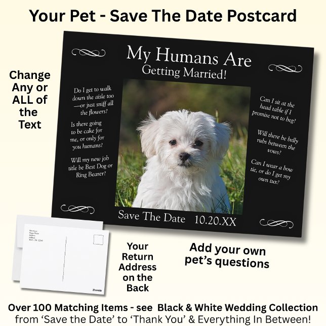 Postal Your Pet Photo Save The Date Black White Infinity (Subido por el creador)
