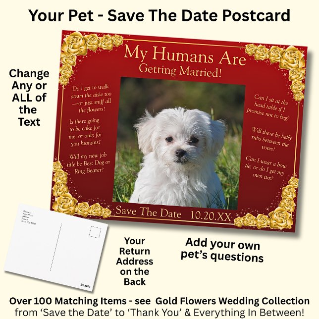 Postal Your Pet Photo Save The Date Gold Roses Maroon Red (Subido por el creador)