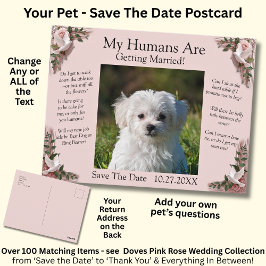 Postal Your Pet Photo Save The Date Pink Roses & Doves