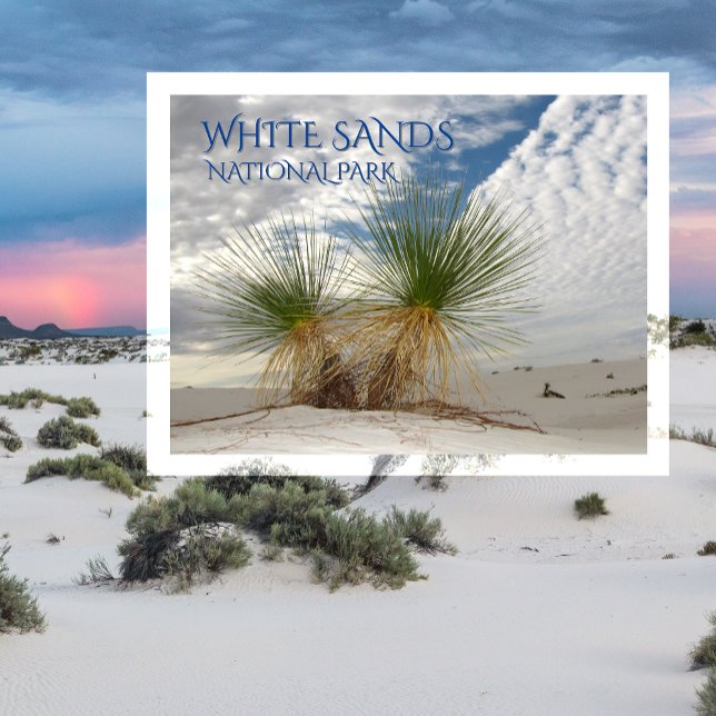 Postal Yucas gemelas, Parque Nacional de Sands Blancos (Subido por el creador)