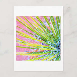 Postal Yucca psicodélica