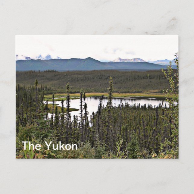 Postal Yukon Pond (Anverso)