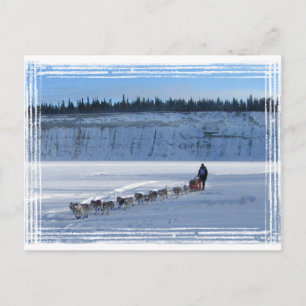 Postal Yukon Quest Team