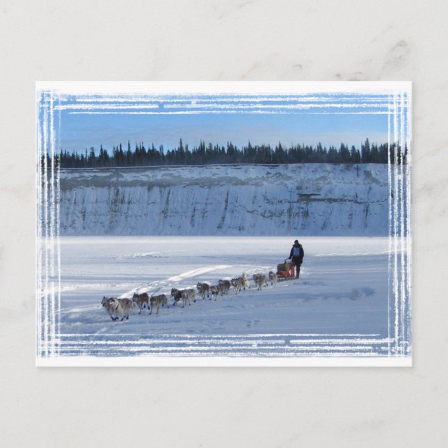 Postal Yukon Quest Team (Anverso)