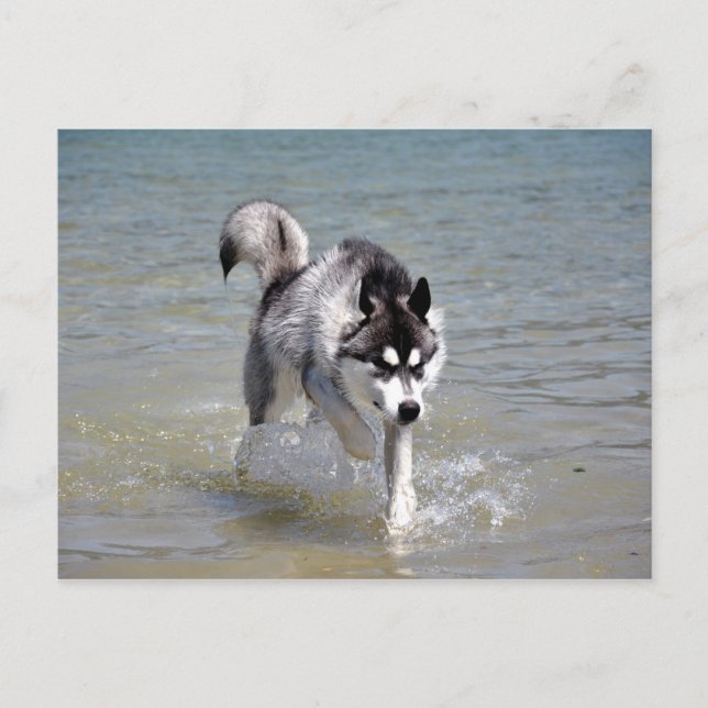 Postal YukonWasser (Anverso)