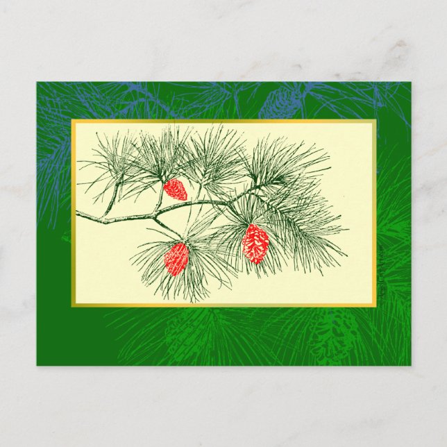 Postal Yule Pine Branch Vintage Art Post Card (Anverso)