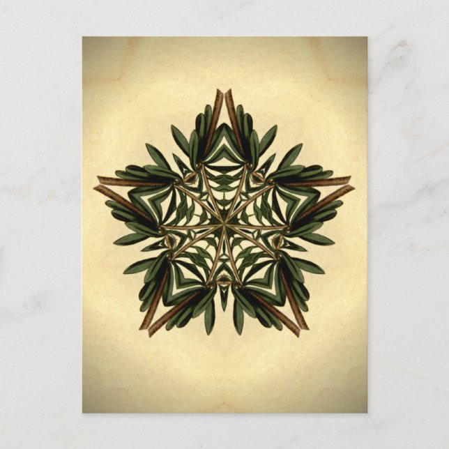 Postal Yule Star (Anverso)