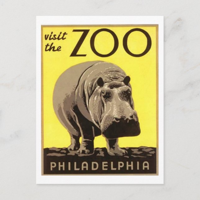 Postal Z00 - Hippo (Anverso)