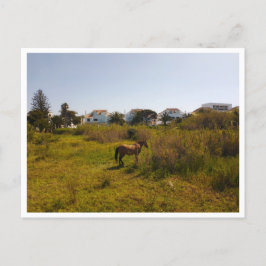 Postal Zahara de los Atunes (España)