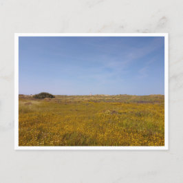 Postal Zahara de los Atunes (España)